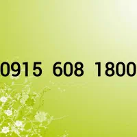 0915-608-1800