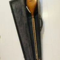 ستار کلکسیونی و کادویی|سازهای سنتی|شیراز, فرهنگ شهر|دیوار