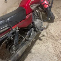 احسان شکاری 150