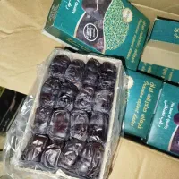 خرمای مضافتی درجه یک لاشار و ربی دامن