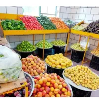 فروشنده میوه فروشی