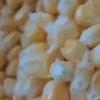 ذرت|خوردنی و آشامیدنی|اردبیل, |دیوار