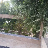 زمین۵۱۰مترسندارملکی وآب گنبدبازکلاکوب اطراف فردوسی|فروش زمین و ملک کلنگی|مشهد, تبادکان|دیوار