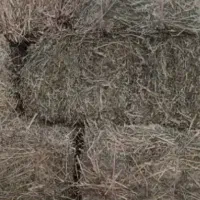 یونجه درجه یک بسته بندی