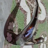 اگزوز دیتی wr