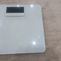 ترازو گارمین ایندکس