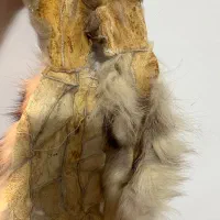 مناسب کلاه و شالگردن