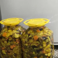 ترشی خانگی  باکیفیت .همکاری با رستوران ها|خوردنی و آشامیدنی|مسجد سلیمان, |دیوار