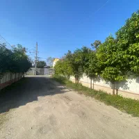 فروش زمین ۲۰۰متری سندتک برگ سرخرود