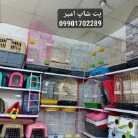 خاک گربه قفس پرنده غذای سگ گربه کوله ملزومات حیوان|لوازم جانبی حیوانات|نسیم‌شهر, |دیوار