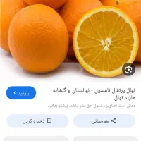 پرتقال تامسون