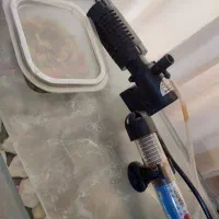 آکواریوم شیشه خم ۲۵×۴۰|ماهی|اردبیل, |دیوار