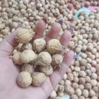 انجیر گوشتی تازه کیلویی ۴۸۰|خوردنی و آشامیدنی|شیراز, شهرک ولیعصر|دیوار