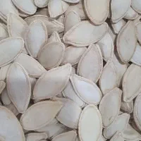 تخم کدو درشت آجیلی