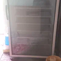 دستگاه جوجه کشی سالمه سالم