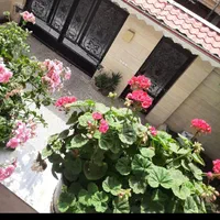 آپارتمان ۱۲۰متری،۲خواب|اجارهٔ کوتاه‌مدت آپارتمان و سوئیت|آستارا, |دیوار