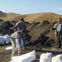 کود هیومیک اسید (لوناردیت)