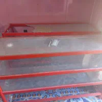 یخچال وپریزر|فروشگاه و مغازه|سراوان, |دیوار