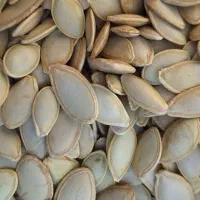 کدو گوشتی لوکس سایز ده و یازده|عمده‌فروشی|شیراز, اکبر آباد|دیوار