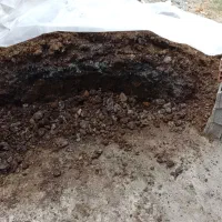 کود خشک گاوی کیسه ای خالص خالص