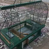 قفس تله ای|لوازم جانبی حیوانات|همدان, |دیوار