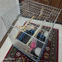 قفسه فلزی