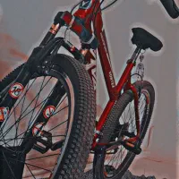 دوچرخه ویوا|دوچرخه، اسکیت، اسکوتر|مشهد, یوسفیه (شهرک غرب)|دیوار