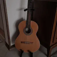 گیتار پارسی پی ۸۰ همراه با کیس