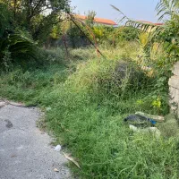 فروش-زمین