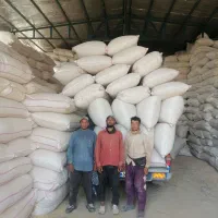 کاه دیم سرخوشه ازنا لرستان