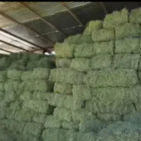 یونجه انباری