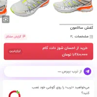 کفش سالامون و کفش نیوبالانس|کیف، کفش، کمربند|دهدشت, |دیوار