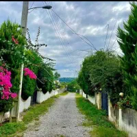 ویلا باغ سرسبز سنددار منطقه برند/اقساطی/معاوضه/|فروش خانه و ویلا|چمستان, |دیوار