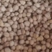 نخود قیمت مناسب برای فلافل