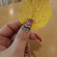 آموزش جامع کاشت و ترمیم ناخن|خدمات آموزشی|تهران, تهرانپارس جنوبی|دیوار