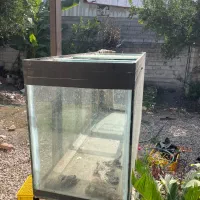 اکواریوم و پایه|ماهی|قائمشهر, |دیوار