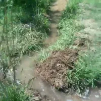 ۱۳۰۰متر مناسب ساخت با جواز طالقان