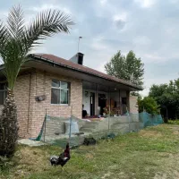 ۸۴۴مترخانه محوطه/سندتگ برگ/دسترسی عالی/درخت مرکبات