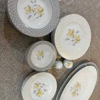 سرویس غذاخوری چینی زرین