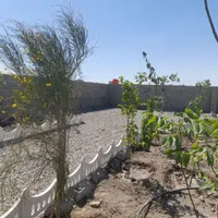باغ و باغچه ۱۷۲ متری / با امکانات و چسبه بافت|فروش زمین و ملک کلنگی|تهران, امیریه|دیوار
