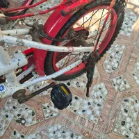 دوچرخه|دوچرخه، اسکیت، اسکوتر|بندر کنگان, |دیوار