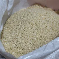 برنج و نیم دانه کامفیروزی درجه یک