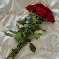 کار آفرین