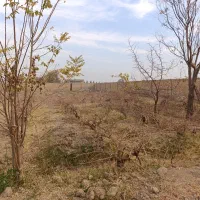 1/800متر فروش چاردیواری با دوساعت آب کشاورزی|فروش دفتر صنعتی، کشاورزی، تجاری|جوادآباد, |دیوار