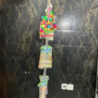 لوازم پرنده فروشی|لوازم جانبی حیوانات|زرند, |دیوار