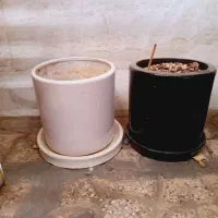 دوتا گلدان در حد نو