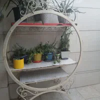 جاگلدانی