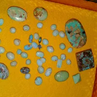 فیروزه نیشابوری