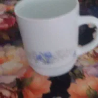 لیوان پارسپال