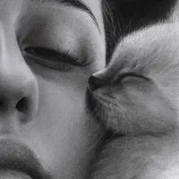 سفارش نقاشی